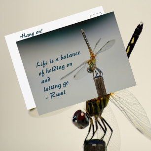 Leben ist ein Balance-Zitat Libellen-Fotografie Postkarte