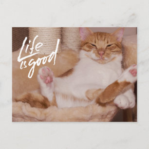 Leben ist gut Süße Lustige Orange Katze Postkarte