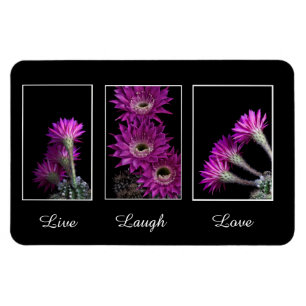 Leben, Lachen, Liebe-Trio der Kakteen-Blume Magnet