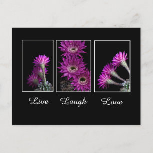 Leben, Lachen, Liebe-Trio der Kakteen-Blume Postkarte
