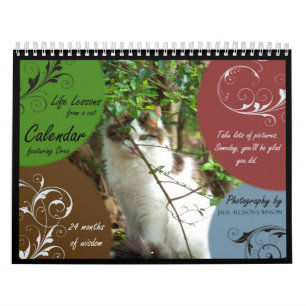 Leben-Lektionen von einem Katzen-Kalender Kalender