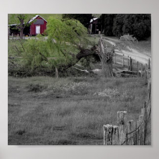 Leben nach Desaster Poster