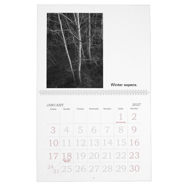 Leben oder Tod der Bäume Kalender (Jan 2027)