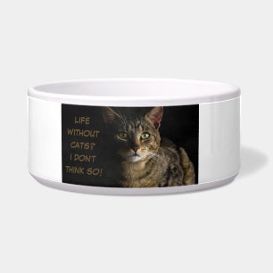 Leben ohne Katzen? Ich glaube nicht, dass das lust Napf