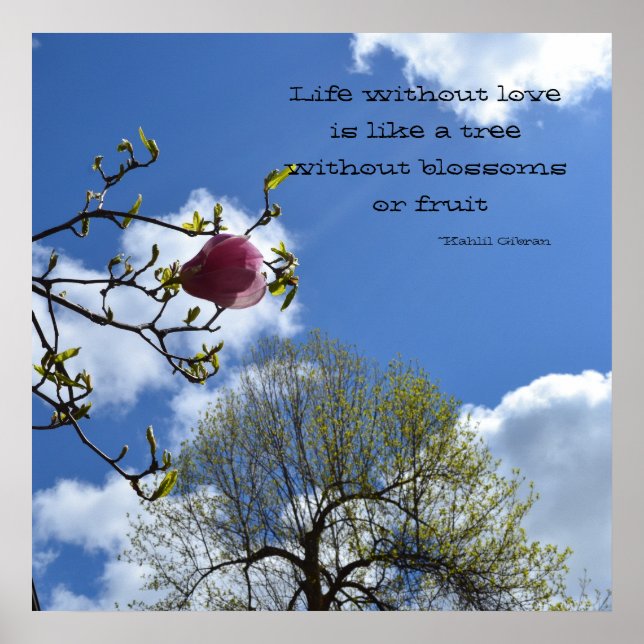 Leben ohne Liebe ist wie Poster (Vorne)