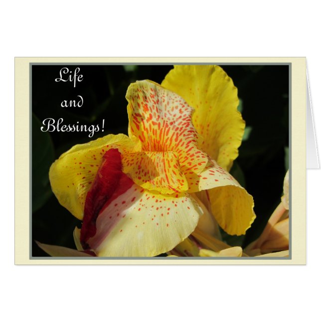 Leben Segnungen! (Vorderseite (Horizontal))