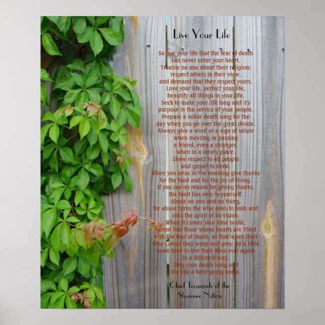 Leben Sie Ihr Leben, Chief Tecumseh Poster (Vorne)