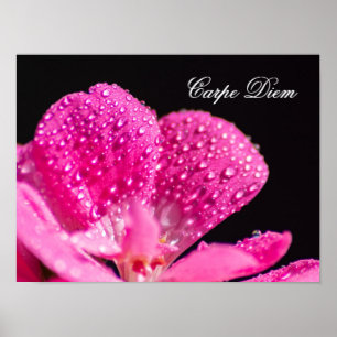 Leben Sie Ihr Leben im Einklang mit der Natur! Pos Poster