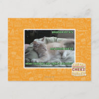 Leben Sie nie wieder in einem Käfig