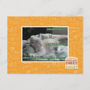 Leben Sie nie wieder in einem Käfig Postkarte