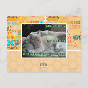 Leben Sie nie wieder in einem Käfig Postkarte