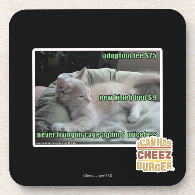 Leben Sie nie wieder in einem Käfig Untersetzer (Vorderseite)