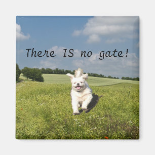 "Leben Sie wie…" Magnet - buddhistische (Matrix-