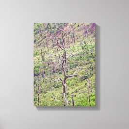 Leben- und Todesbäume im Tal Leinwanddruck