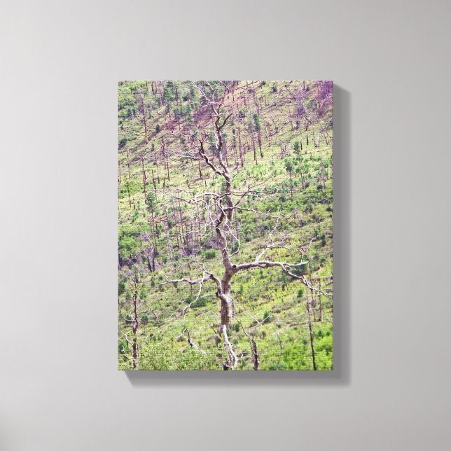 Leben- und Todesbäume im Tal Leinwanddruck (Vorderseite)