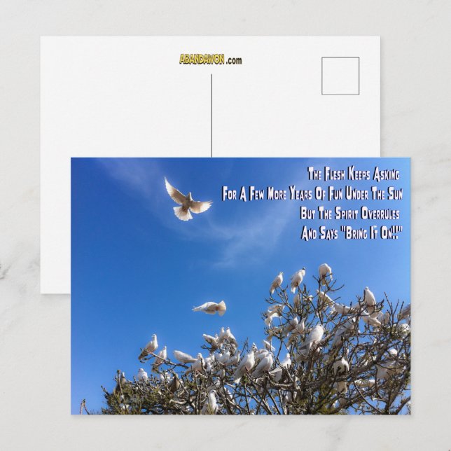 Leben unter der Sonne Postkarte (Vorne/Hinten)