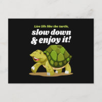 Leben wie die Schildkröten