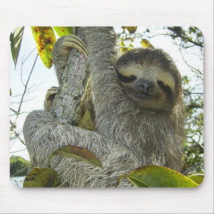 Leben wie ein Faultier Mousepad