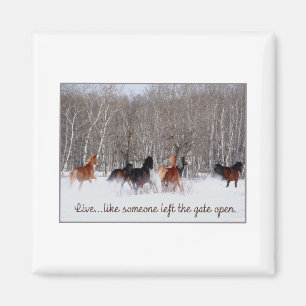 Leben.....Wie jemand verließ das Tor offen! Magnet