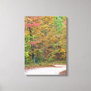 Lebende Herbstleaves Gebirgsstraße Canvas Print Leinwanddruck