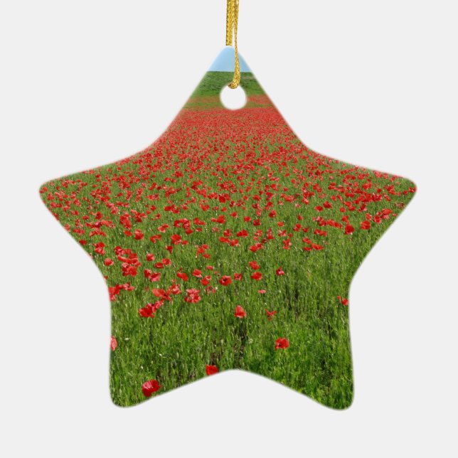 Lebende Poppies! Keramik Ornament (Hinten)