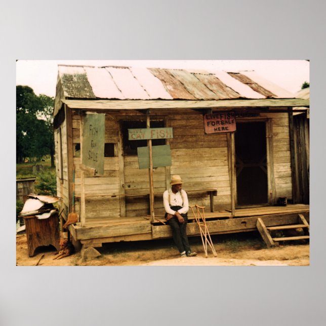 Lebender Fisch zum Verkauf Poster (Vorne)