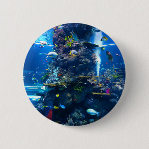 Lebendes Korallenriff mit Fisch Button