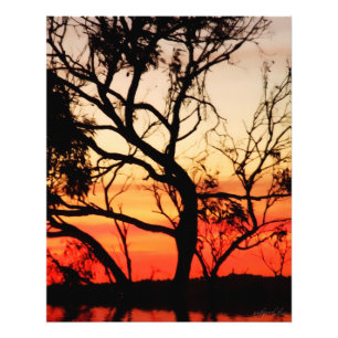 Lebendes Kunst-Sonnenuntergang-Silhouette-Foto Fotodruck