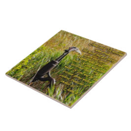 Lebendes Wasser John 4 Inspiration Fliese