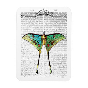 Lebendige Butterfly Magnet