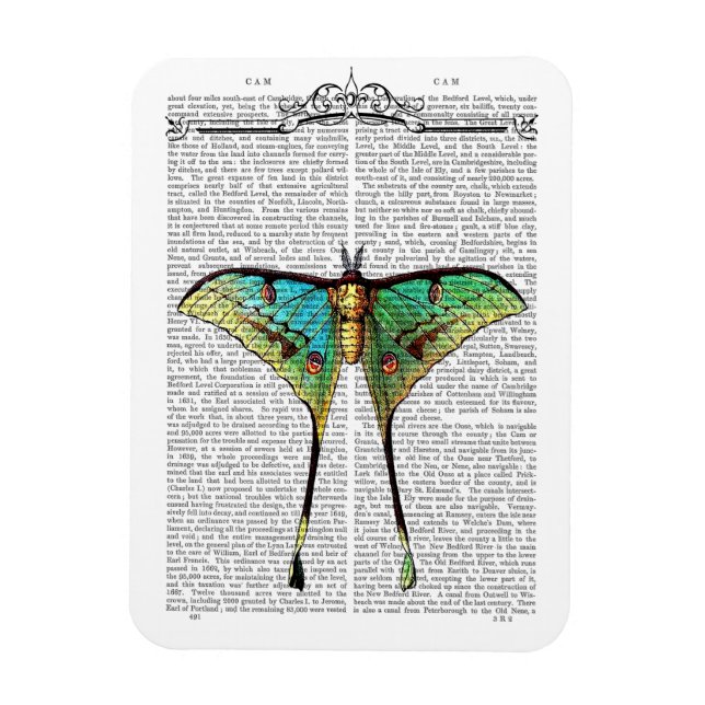 Lebendige Butterfly Magnet (Vertikal)