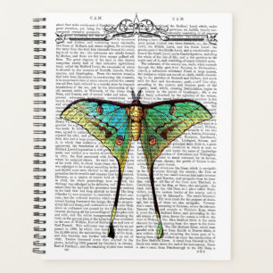 Lebendige Butterfly Planer