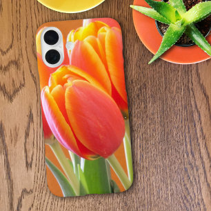 Lebendige gelbe orange geränderte Tulpen-Fotografi iPhone 16 Plus Hülle