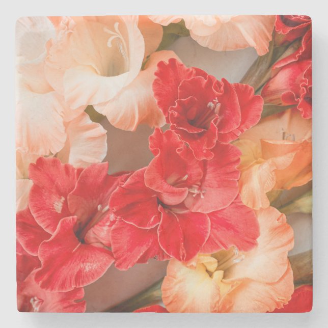 Lebendige Gladiolus-Blumen Steinuntersetzer (Vorderseite)