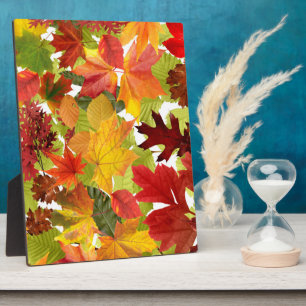 Lebendige Herbstlaub-Collage Fotoplatte