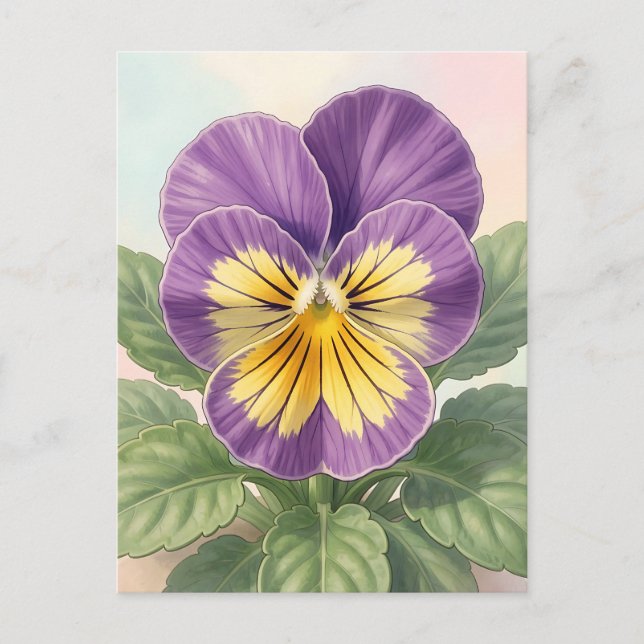Lebendige lila-gelbe Stiefmütterchen-Blume Botanis Postkarte (Vorderseite)