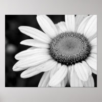 lebendige Makrofotografie mit Schwarzweißfarbe