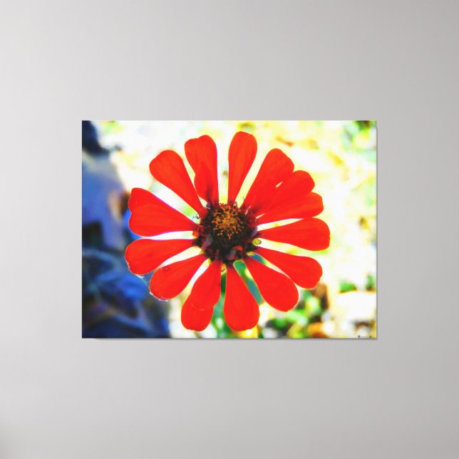 Lebendige orange Blume blüht Leinwanddruck (Vorderseite)