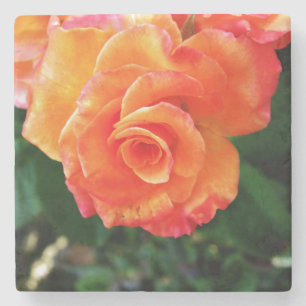 Lebendige Orange Rosenfotografie Steinuntersetzer