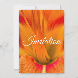 Lebendige orange Taglilien-Makro elegante Blüte Feiertagskarte