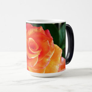 Lebendige Orangefarbene Rosenfotografie Verwandlungstasse