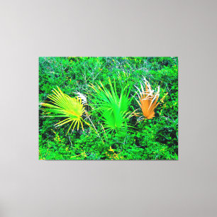 Lebendige Palmwedel Leinwanddruck