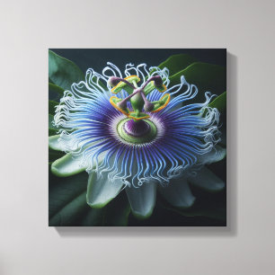 Lebendige Passionsblume Makro Strahlendes Lila wei Leinwanddruck