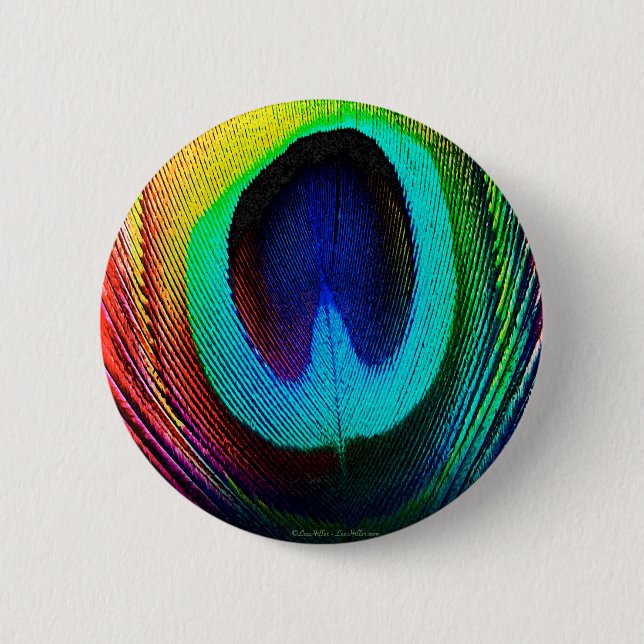 Lebendige Pfauenfeder Button (Vorderseite)