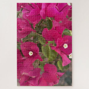 Lebendige rosa Bougainvillea-Blüten blühen in Tro Puzzle