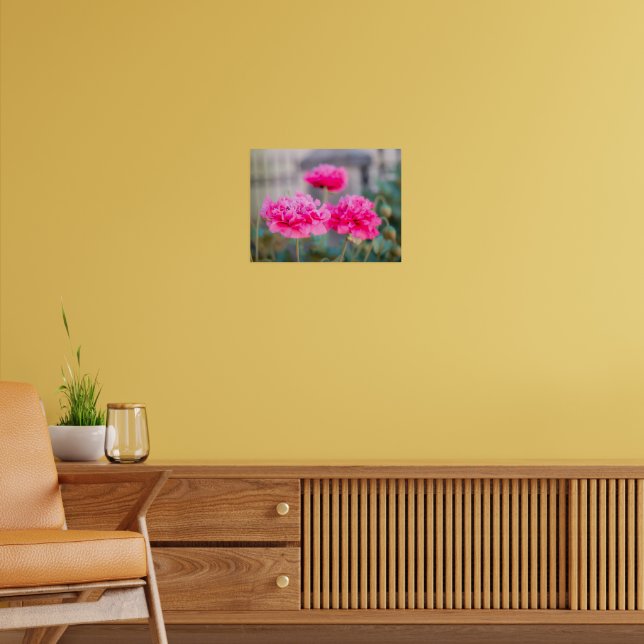 Lebendige rosa mediterrane Mohnblumen Poster (Wohnzimmer 2)