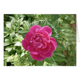 Lebendige rosa Pfingstrosen-Blumen-Jubiläumskarte