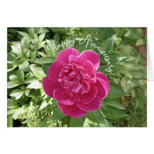 Lebendige rosa Pfingstrosen-Blumen-Jubiläumskarte