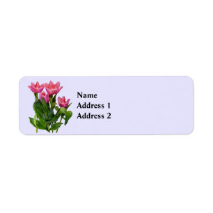 : Lebendige rosa Tulpen