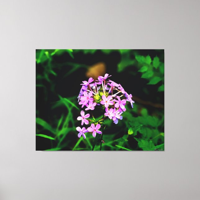 Lebendige rosa Wildblume Leinwanddruck (Vorderseite)